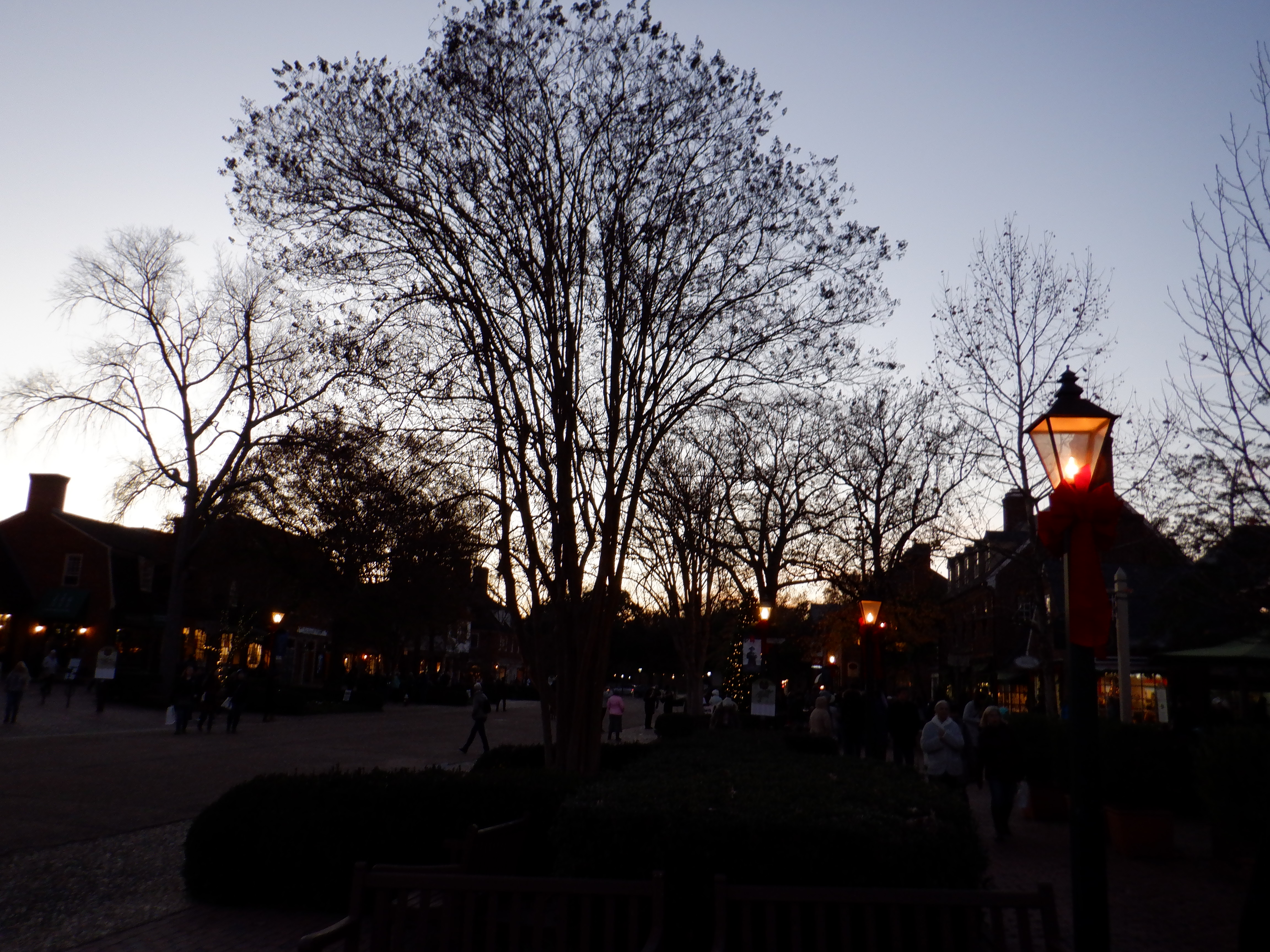 ./2019/15 - Colonial Williamsburg/DSCF0597.JPG